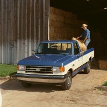 1989  Ford F-150 
